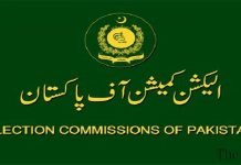 Sindh Election Commissioner reviews arrangements for 2024 General Election ECP - The News Today- TNT
