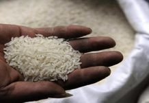 Pakistan gets Geographical Indicator tag for basmati Rice - The News Today- TNT
