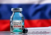 Russia shows interest in registering Sputnik V vaccine in Pakistan Russian vaccine - The News Today - TNT