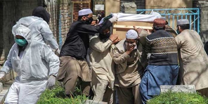 COVID-19 - The News Today- TNT