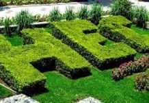 Challenges Facing Higher Education Commission (HEC) and University Autonomy HEC - The News Today- TNT