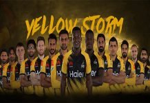 Peshawar Zalmi eyeing Rihanna for PSL 2021 anthem PZ - The News Today- TNT