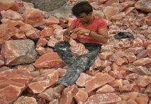 Geographical Indications of Himalayan pink salt to be registered Pink Salt - The News Today- TNT