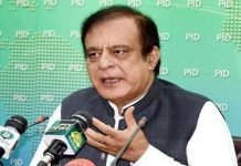 Hamza Shahbaz released on bail, not acquitted: Shibli Shibli - The News Today- TNT