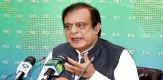 Hamza Shahbaz released on bail, not acquitted: Shibli Shibli - The News Today- TNT