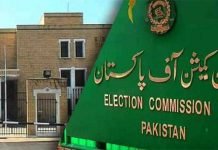 Ali Haider Gillani video: ECP instructs PTI to also nominate own members in petition ECP - The News Today- TNT