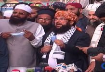 Government offers Senate deputy chairman office to JUI Haideri - The News Today- TNT