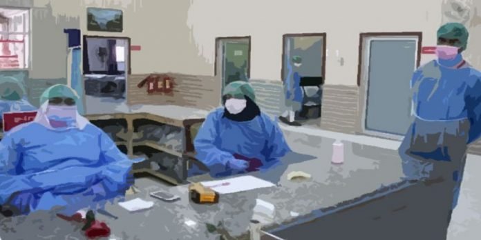 Health workers - The News Today- TNT