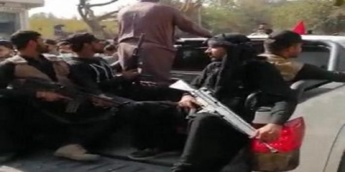 Rifle Rifle - The News Today- TNT