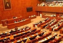Chairman Senate to convene special session to discuss ongoing Palestine situation Senate - The News Today- TNT