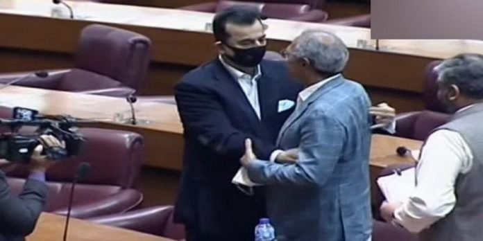 Senate Elections Senate Elections - The News Today- TNT