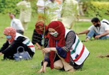 Under 10BTTP, 38,000 trees to be planted in Pishin: Malik Amin Tree - The News Today- TNT