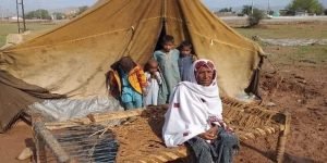 ZarSanga - The News Today- TNT