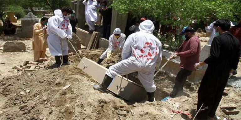 COVID 19 - The News Today- TNT