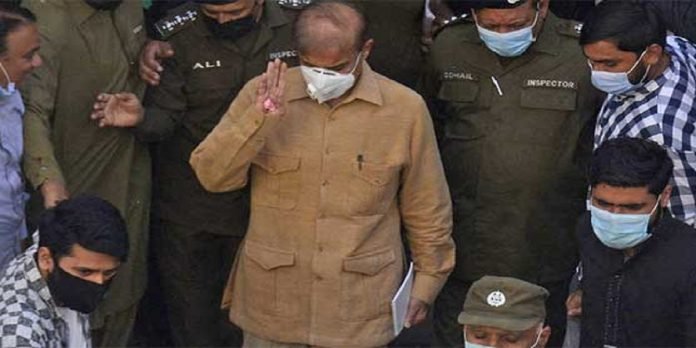 Shehbaz Shehbaz - The News Today - TNT