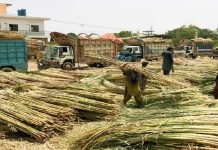 Punjab ministers summoned in sugar scandal inquiry on May 4 Sugar scam - The News Today - TNT