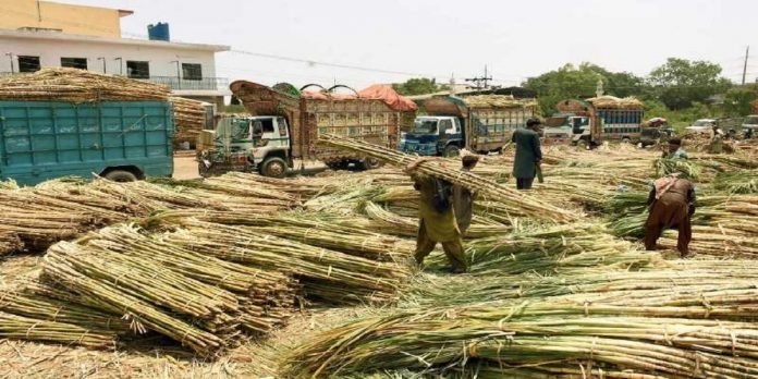 Sugar Scam Sugar scam - The News Today - TNT