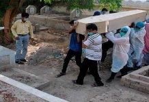 Pakistan reports highest ever 201 new deaths and 5,292 cases in 24 hours deaths - The News Today - TNT