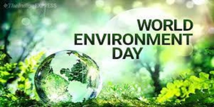 Environment - The News Today - TNT