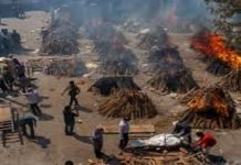 India records over 400,000 COVID-19 cases in 24 hours India - The News Today - TNT