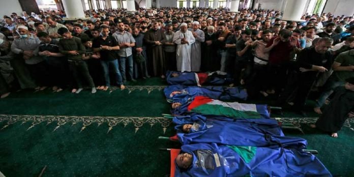 Palestinians1 - The News Today - TNT