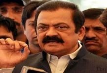 PML-N needs 13 more MPAs to show Buzdar the door: Rana Sana Sanaullah - The News Today - TNT