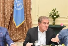 Mission Palestine: FM Qureshi urges Muslim world to adopt united stance at UN