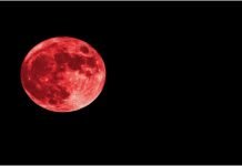 India Conquers the Moon blood Moon - The News Today - TNT