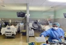 Pakistan reports ‘black fungus’ among several COVID-19 patients: Health Experts report - The News Today - TNT