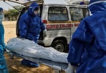 COVID-19 claims 56 more lives and 1,239 cases reported across Pakistan Corona - The News Today - TNT