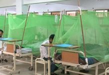RMC set-up 27 clusters under for 8-month long anti-dengue drive Dengue - The News Today - TNT