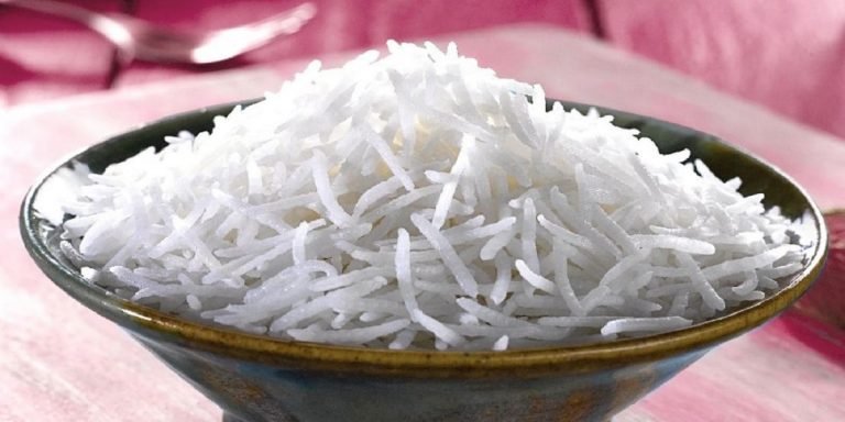 Rice - The News Today - TNT