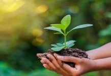 Balance in consumption, production termed vital for ecosystem restoration WED - The News Today - TNT