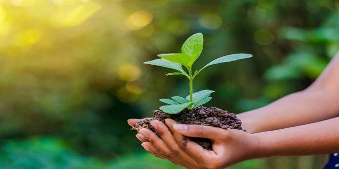 WED WED - The News Today - TNT