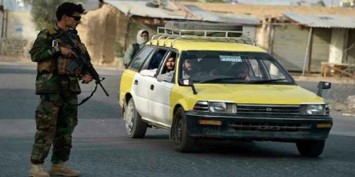 Afghans - The News Today - TNT