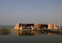 Scarcity of water in Manchar Lake leaves fishermen in state of limbo Manchar - The News Today - TNT-
