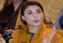 Maryam addresses rally in Chattar Klas to kick off AJK election campaign Maryam - The News Today - TNT