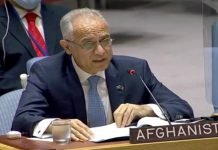Afghanistan seeks Pakistan’s help in ‘dismantling’ Taliban Afghan envoy - The News Today - TNT