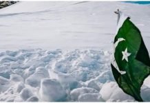 Beneath waving flag is Pakistan’s hero, Ali Sadpara: Canadian filmmaker Elia Saikaly Sadpara - The News Today - TNT