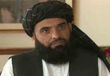 China can play huge role in Afghanistan’s development: Taliban spokesman Shaheen - The News Today - TNT