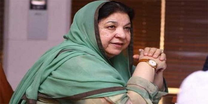 Yasmin Yasmin - The News Today - TNT