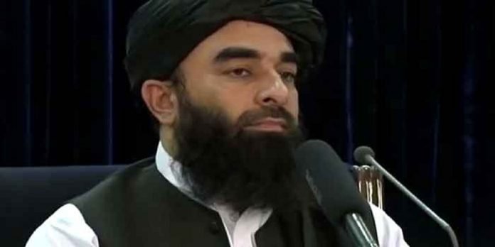 Zabihullah - The News Today - TNT