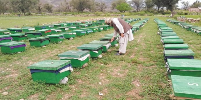 hives - The News Today - TNT