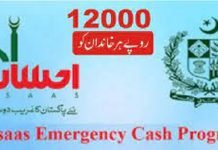 Ehsaas stipend carries more amount for girls than boys Ehsaas - The News Today - TNT