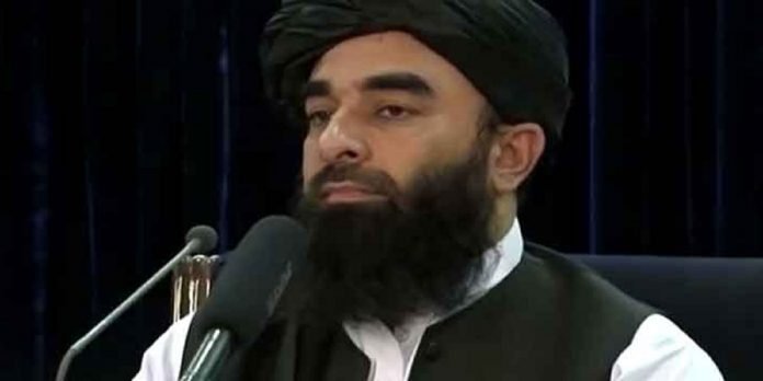 Zabihullah Zabihullah - The News Today - TNT