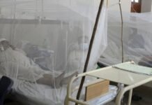 Islamabad reports another death from dengue; toll reaches to four Dengue - The News Today - TNT
