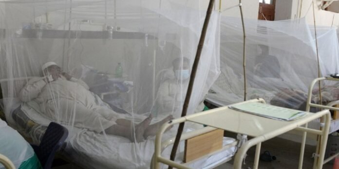 Dengue - The News Today - TNT