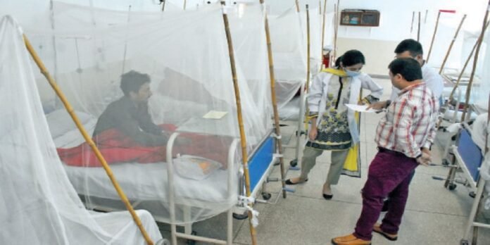 Dengue cases Dengue cases - The News Today - TNT