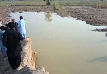 Five children drown while bathing in pond in Dera Ghazi Khan Pond - The News Today - TNT