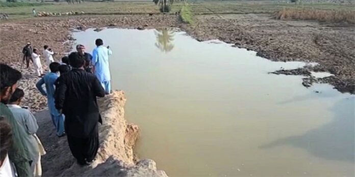 Pond - The News Today - TNT